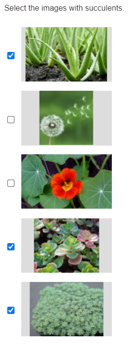 multiple_image_response